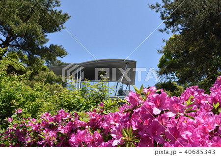 新緑の茅ヶ崎美術館 40685343