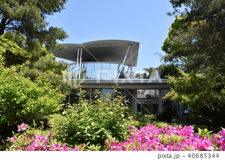 新緑の茅ヶ崎美術館 40685344