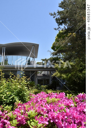 新緑の茅ヶ崎美術館 新緑の茅ヶ崎美術館 40685347