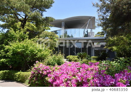 新緑の茅ヶ崎美術館 40685350