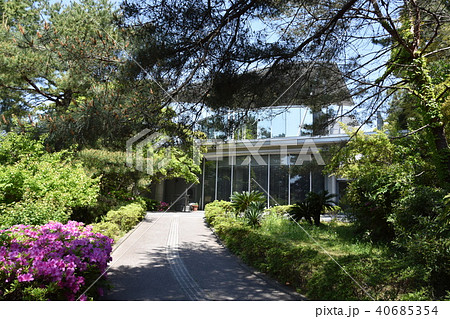 新緑の茅ヶ崎美術館 40685354