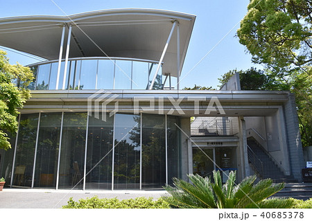 新緑の茅ヶ崎美術館 40685378