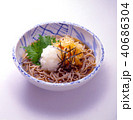 冷やしそば 40686304
