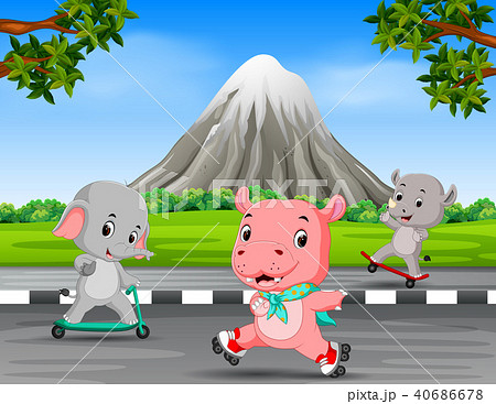 three animals playing in the road three animals playing in the road 40686678