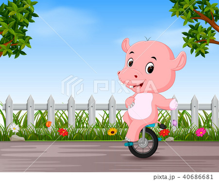 funny hippo playing unicycle in the road funny hippo playing unicycle in the road 40686681