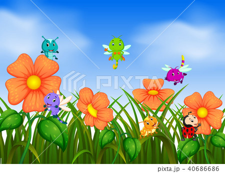 many insect flying in flower garden 40686686
