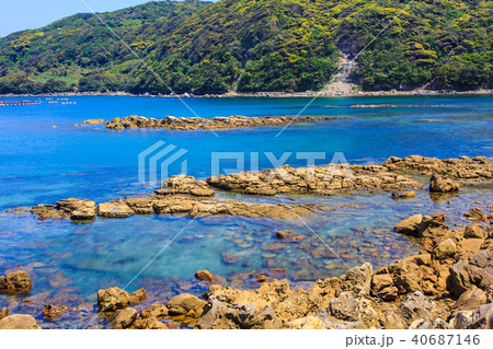 黒島 串の浜 串の浜岩脈 【長崎県佐世保市】 黒島 串の浜 串の浜岩脈 【長崎県佐世保市】 40687146
