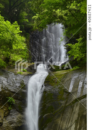 【兵庫県　香美町】猿尾滝（日本の滝百選） 40687411