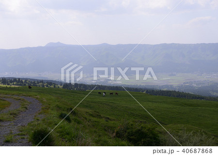 阿蘇 初夏の風景 阿蘇 初夏の風景 40687868
