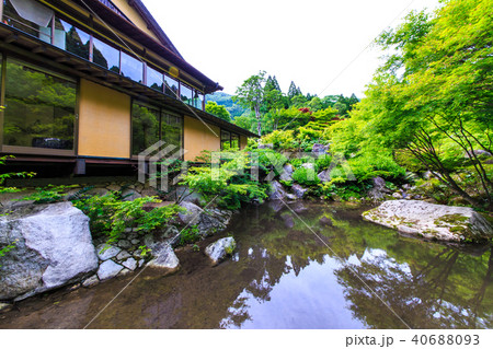新緑 環境芸術の森 【佐賀県唐津市】 新緑 環境芸術の森 【佐賀県唐津市】 40688093