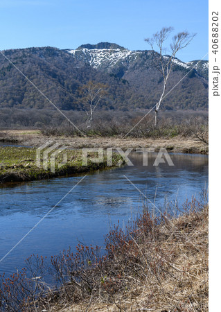 春の景鶴山 春の景鶴山 40688202