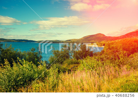 Beautiful fjord. Nature of Norway Beautiful fjord. Nature of Norway 40688256