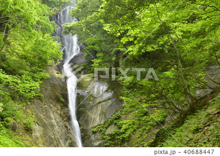【兵庫県　香美町】猿尾滝（日本の滝百選） 40688447