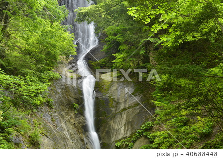 【兵庫県　香美町】猿尾滝（日本の滝百選） 40688448