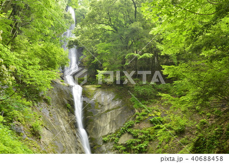 【兵庫県　香美町】猿尾滝（日本の滝百選） 40688458