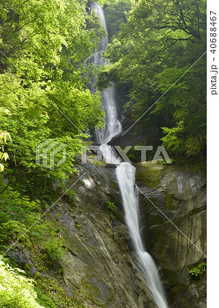 【兵庫県 香美町】猿尾滝(日本の滝百選) 【兵庫県 香美町】猿尾滝(日本の滝百選) 40688467