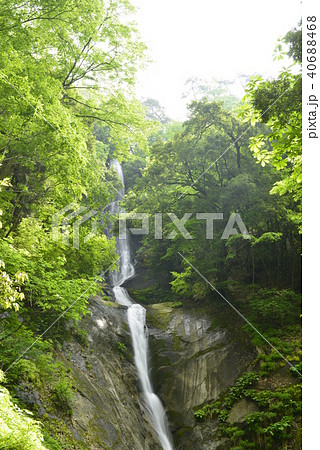 【兵庫県 香美町】猿尾滝(日本の滝百選) 【兵庫県 香美町】猿尾滝(日本の滝百選) 40688468