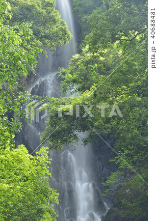 【兵庫県　香美町】猿尾滝（日本の滝百選） 40688481