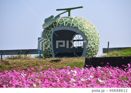 諫早　フルーツバス停　メロン 40688612