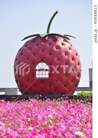 諫早　フルーツバス停　いちご 40688615