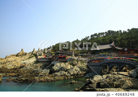 解凍龍宮寺 浜 岩 40689248