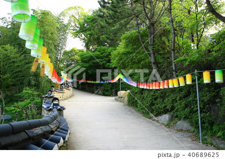 提灯 寺院 釜山 40689625