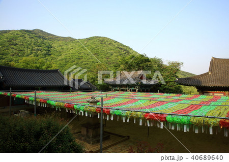 梵魚寺 提灯 寺院 40689640
