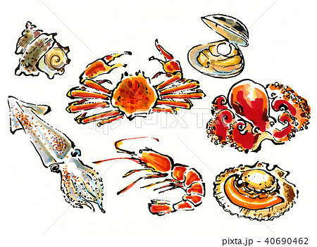 Hand drawn seafood illustration - Stock Illustration [40690462] - PIXTA