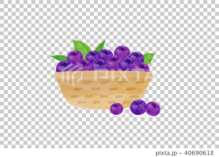 blueberry blueberry 40690618