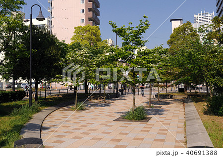 千葉市 新宿公園 千葉中央 千葉市 新宿公園 千葉中央 40691388