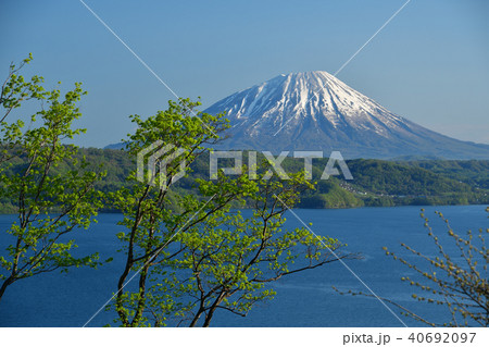 快晴の北海道洞爺湖から残雪の羊蹄山(蝦夷富士)の朝の風景を撮影 快晴の北海道洞爺湖から残雪の羊蹄山(蝦夷富士)の朝の風景を撮影 40692097