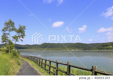 北海道・釧路湿原 達古武湖沿いの遊歩道 北海道・釧路湿原 達古武湖沿いの遊歩道 40693165