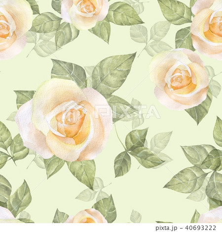 Delicateyelow roses. Floral seamless pattern 2 Delicateyelow roses. Floral seamless pattern 2 40693222