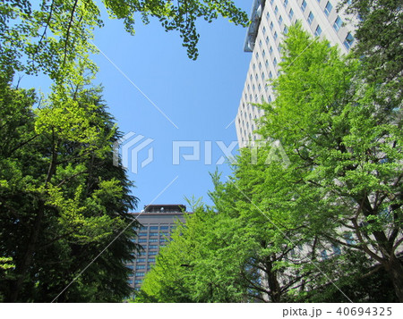 仙台市青葉区　県庁と合同庁舎　緑のイメージ 40694325