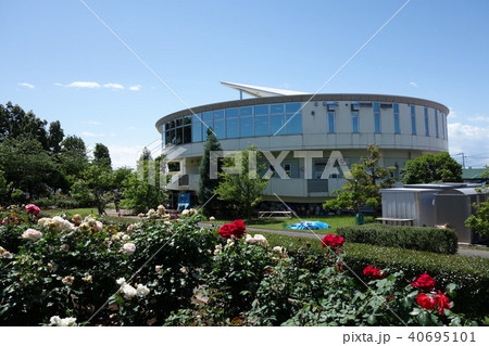 道の駅めぬまアグリパークバラ園 40695101