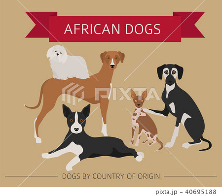 Dogs by country of origin. African dog breeds 40695188