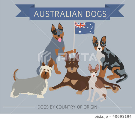 Dogs by country of origin. Australian dog breeds Dogs by country of origin. Australian dog breeds 40695194