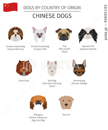 33 Dog Breeds in Chinese, Chinese Dog Breeds, Vocabulary and More