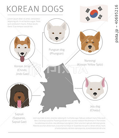 Dogs by country of origin. Korean dog breeds - Stock Illustration ...