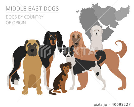 are dogs allowed in middle east