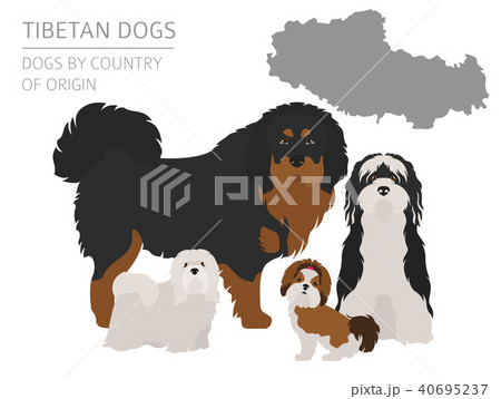 Dogs by country of origin. Tibetan dog breeds 40695237