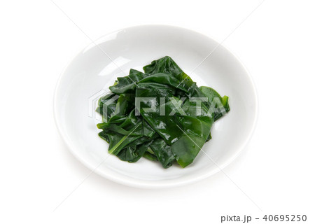 オカワカメ料理 オカワカメ料理 40695250