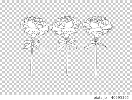 ベクター素材 カーネーション のイラスト素材