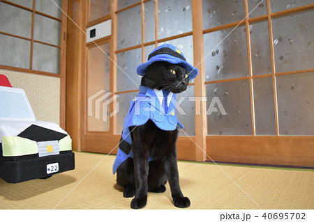 Black cat wearing police costume  Free Photo Illustration - rawpixel