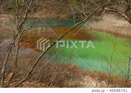 福島県耶麻郡北塩原村　五色沼　深泥沼　 40696761