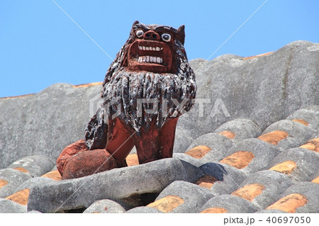真夏のシーサーのアップ 40697050
