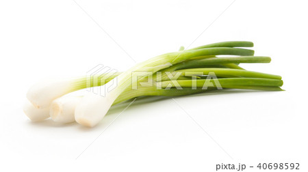 green onion isolated green onion isolated 40698592