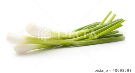 green onion isolated green onion isolated 40698593
