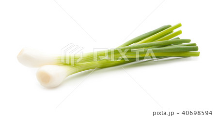 green onion isolated green onion isolated 40698594