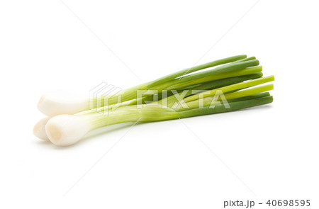 green onion isolated 40698595